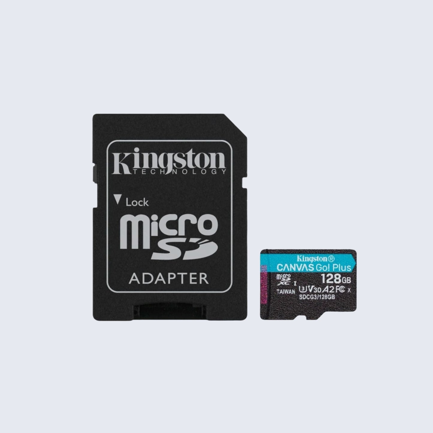 Canvas Go! Plus microSD memory card